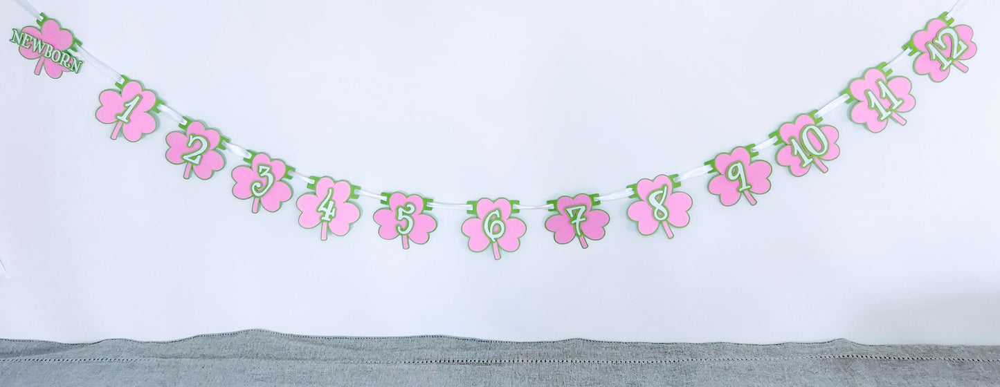 Pink Girl Lucky One Birthday Monthly Milestone Banner