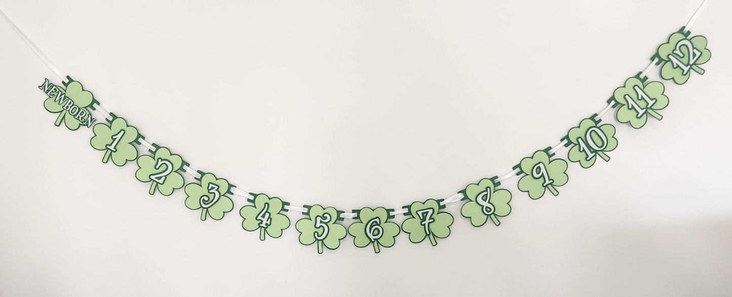 Lucky One Birthday Monthly Banner Milestone