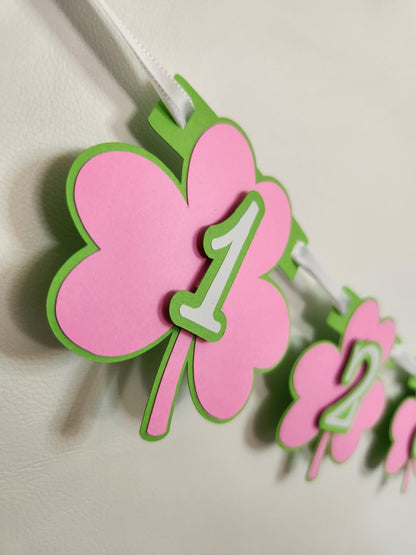 Pink Girl Lucky One Birthday Monthly Milestone Banner