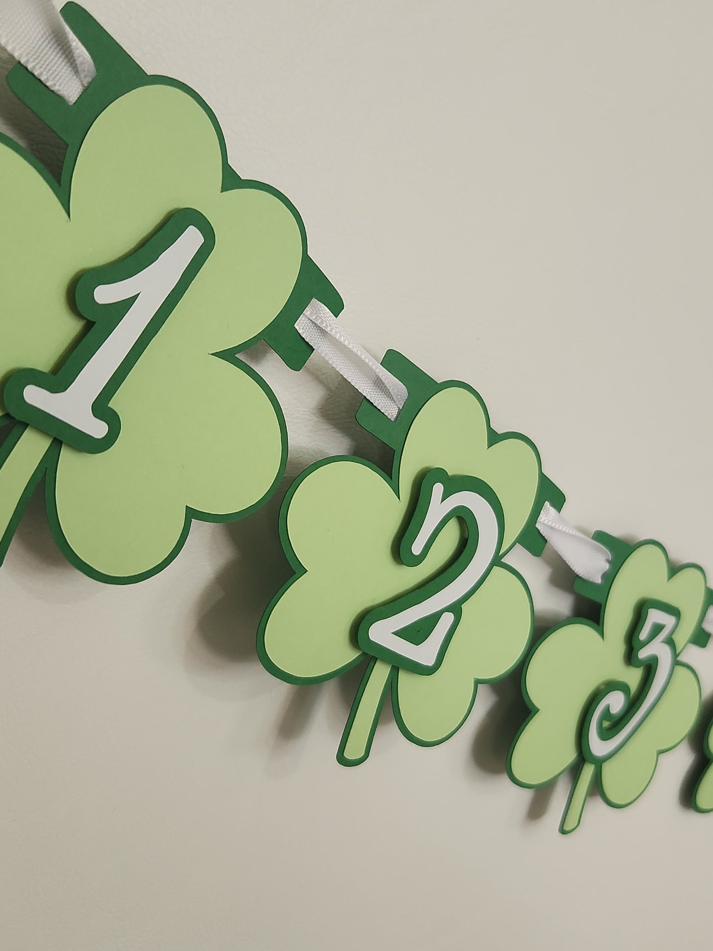 Lucky One Birthday Monthly Banner Milestone