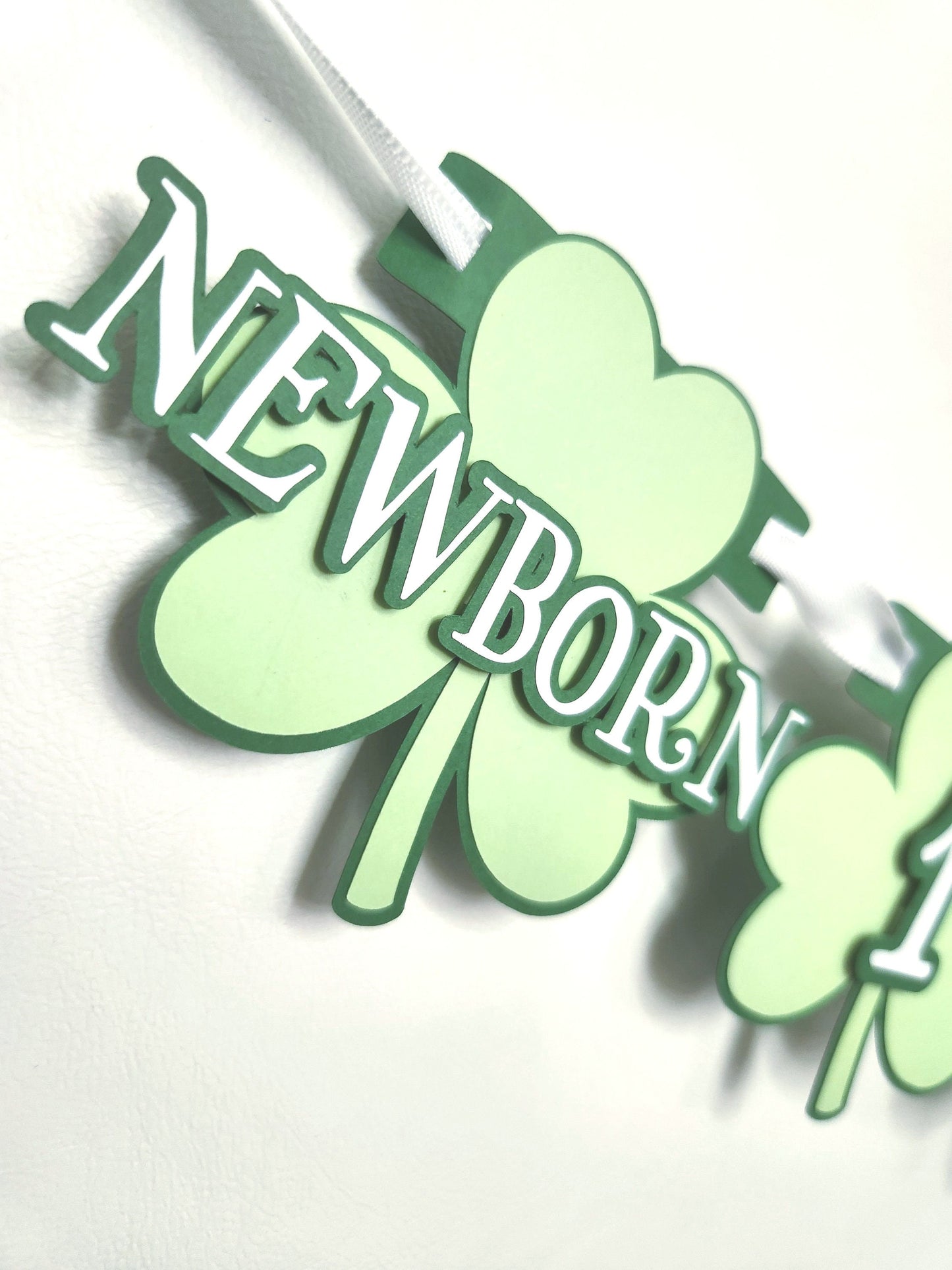 Lucky One Birthday Monthly Banner Milestone