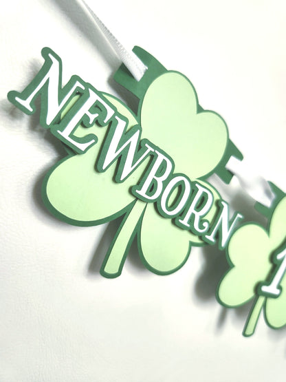 Lucky One Birthday Monthly Banner Milestone